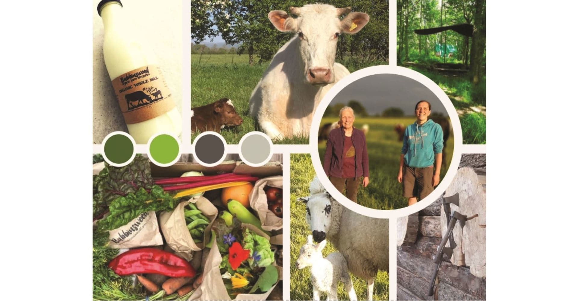 Babbinswood Organic Farm