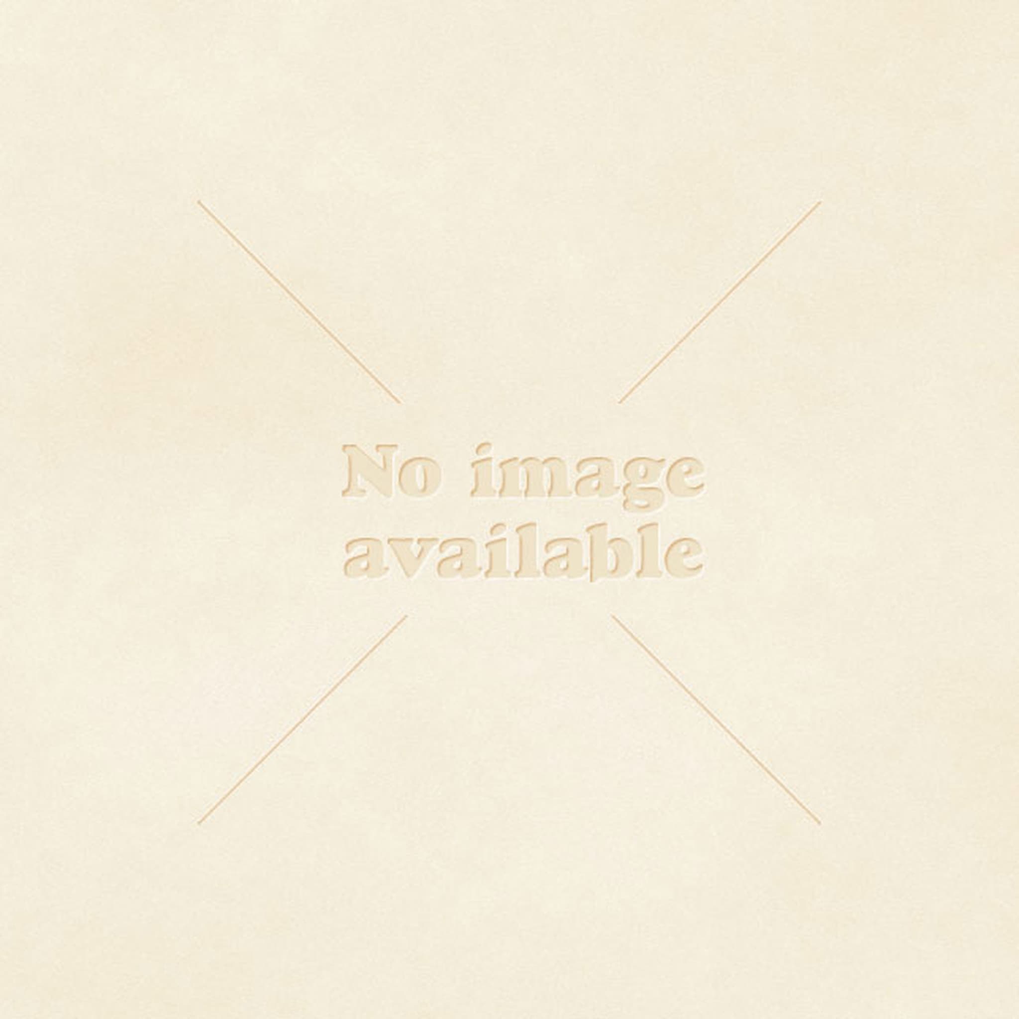 Organic Tagine Spice Steenberg's 50g