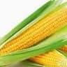 Sweetcorn Cob