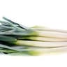 Leek: Baby