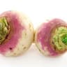 Turnip