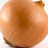 Onion 