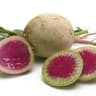 Radish: Watermelon
