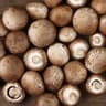 Mushroom: Chestnut 🇬🇧 
