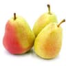 Pear: Guyot