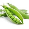 Pea