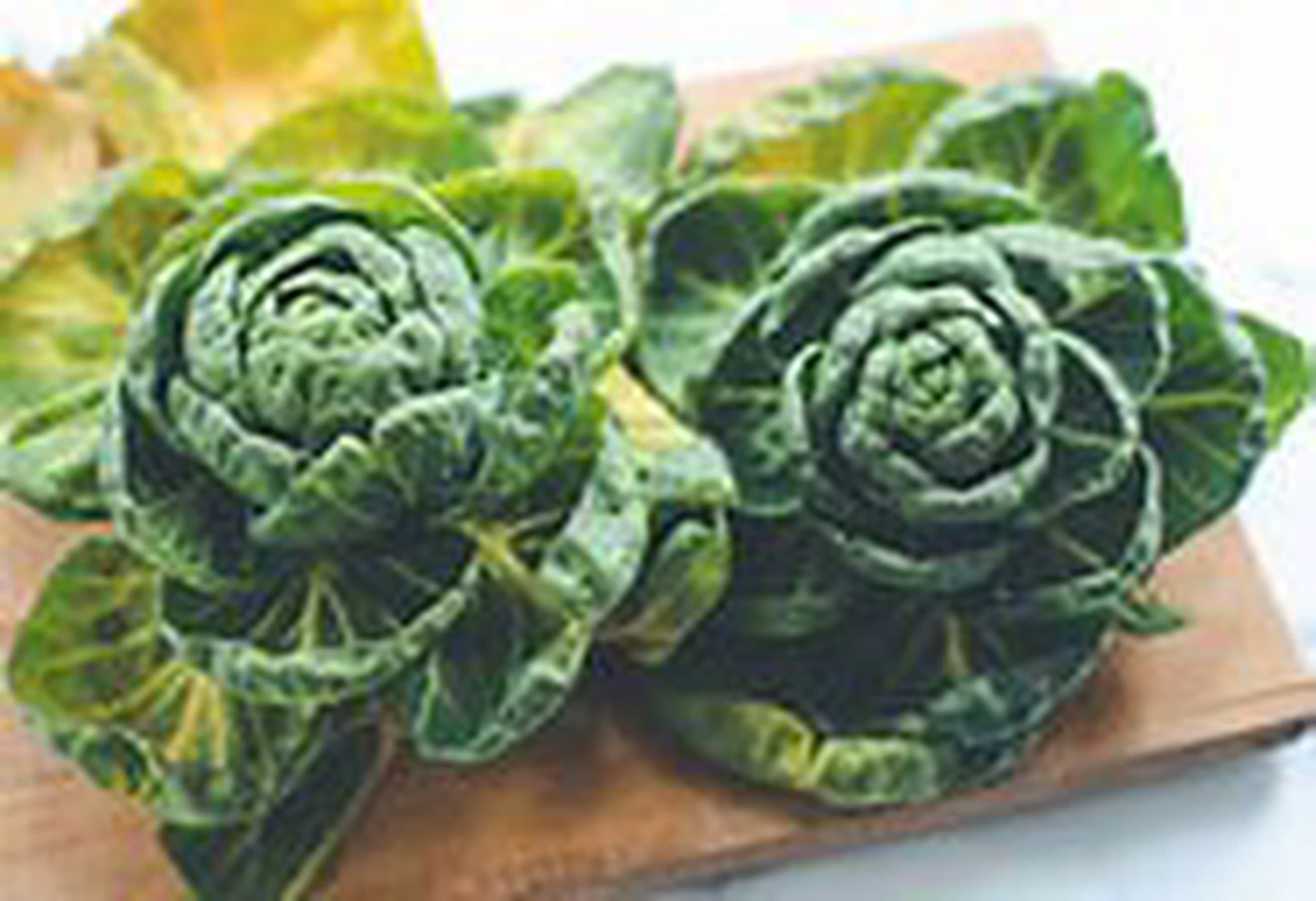 Sprout Tops