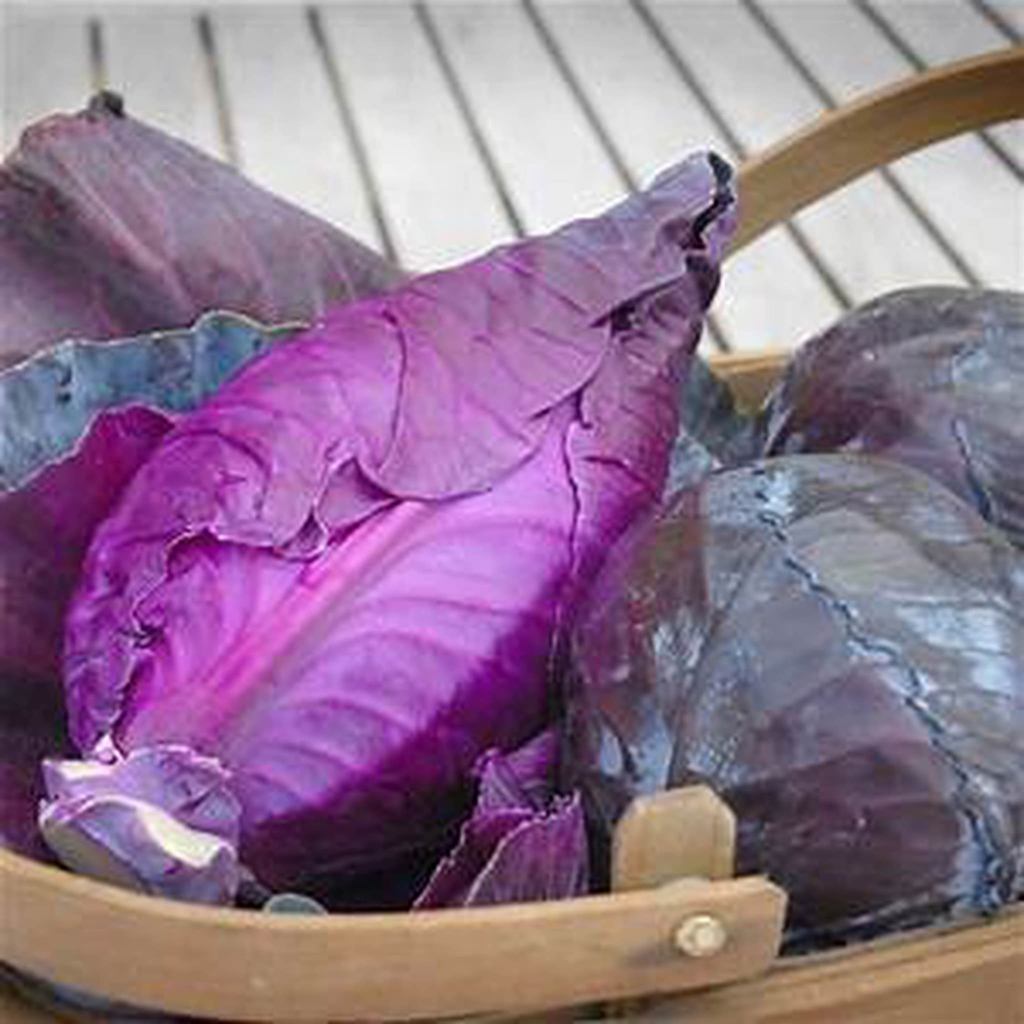 cabbage sweetheart red