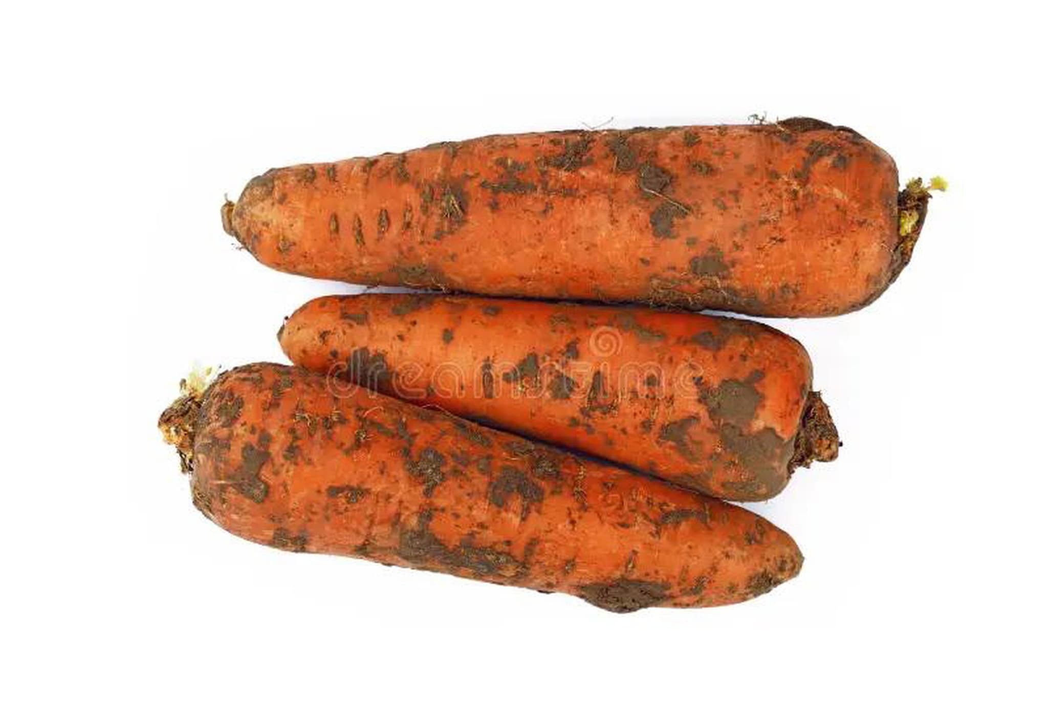 Carrots, dirty 🇬🇧