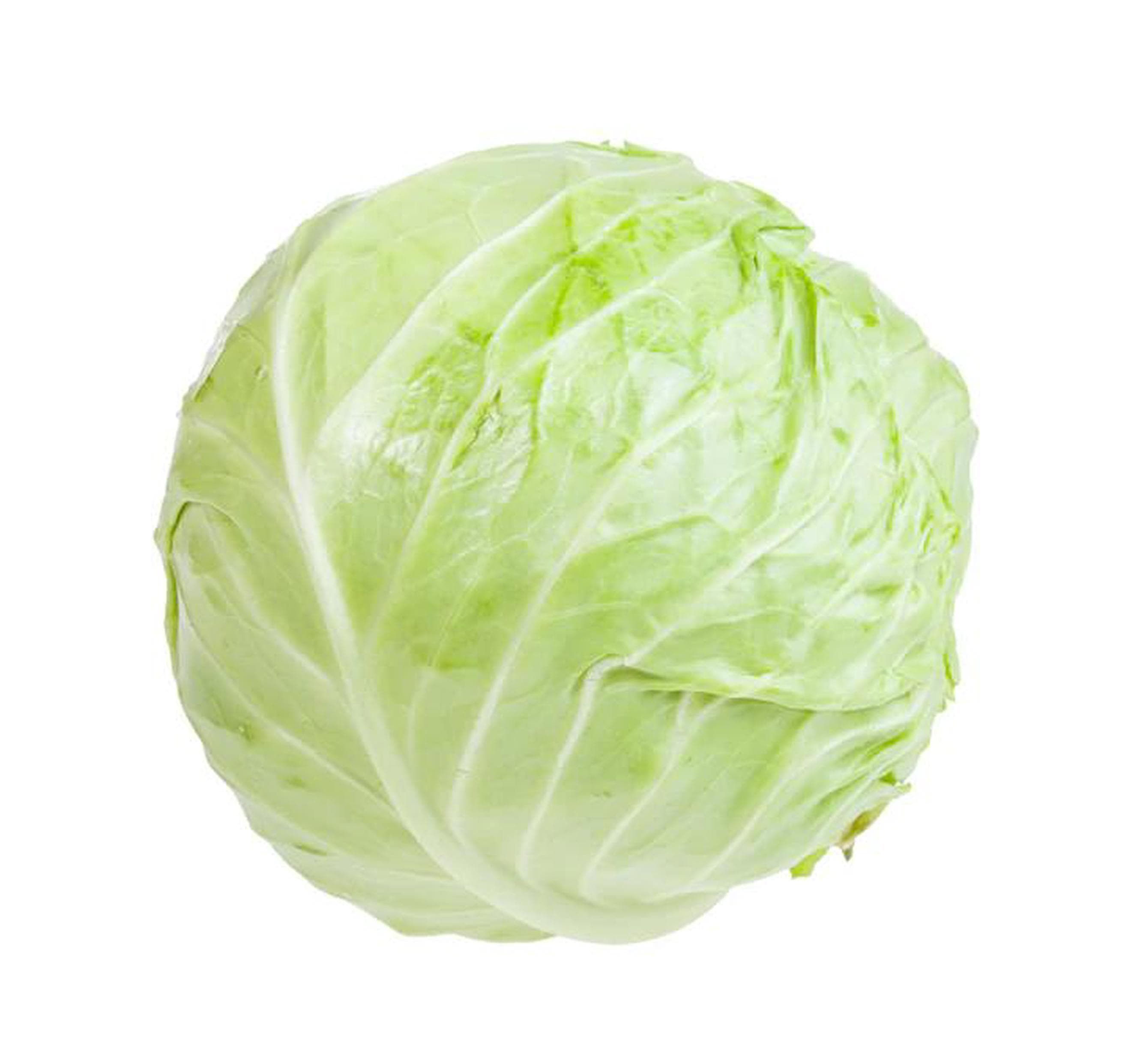Cabbage white