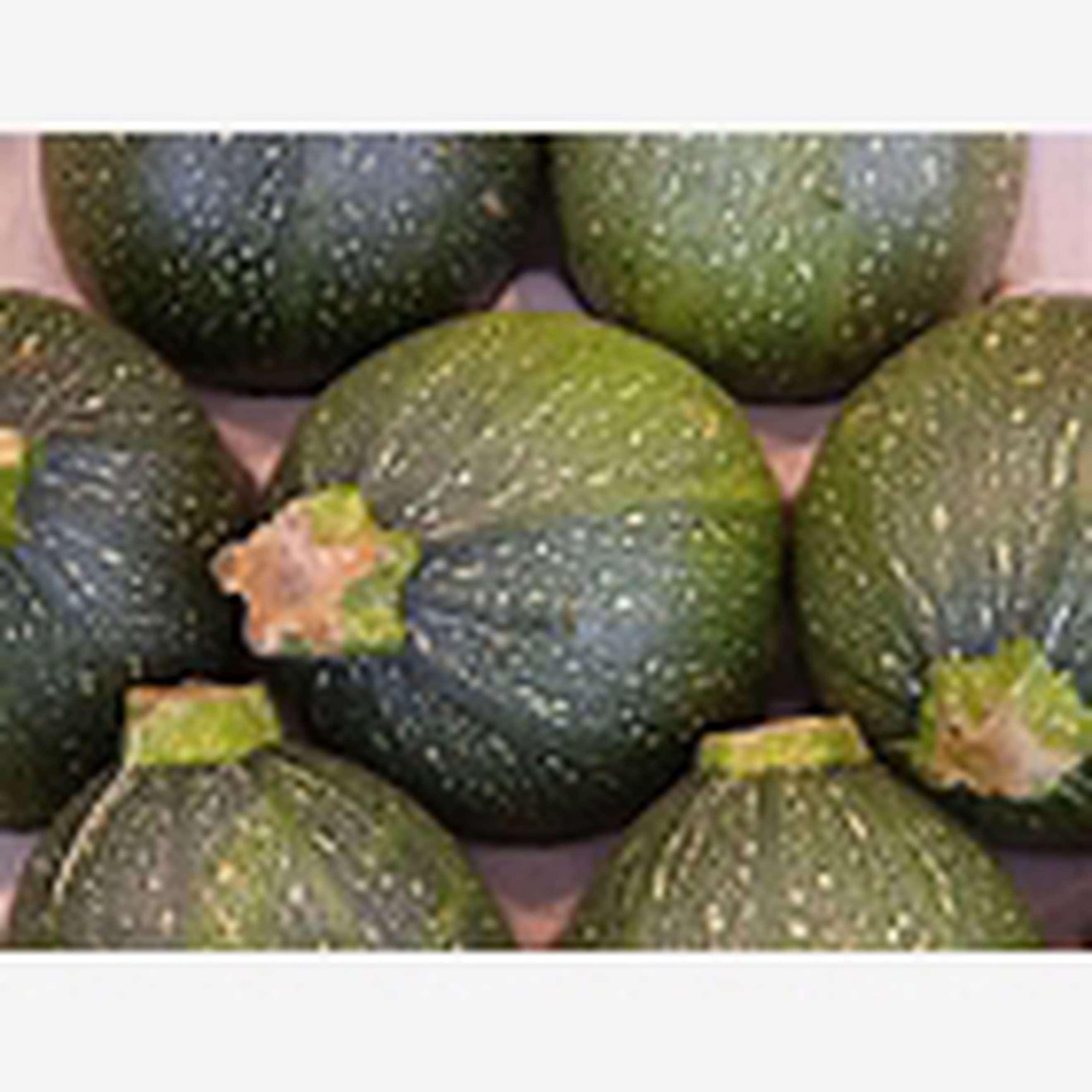 courgette round