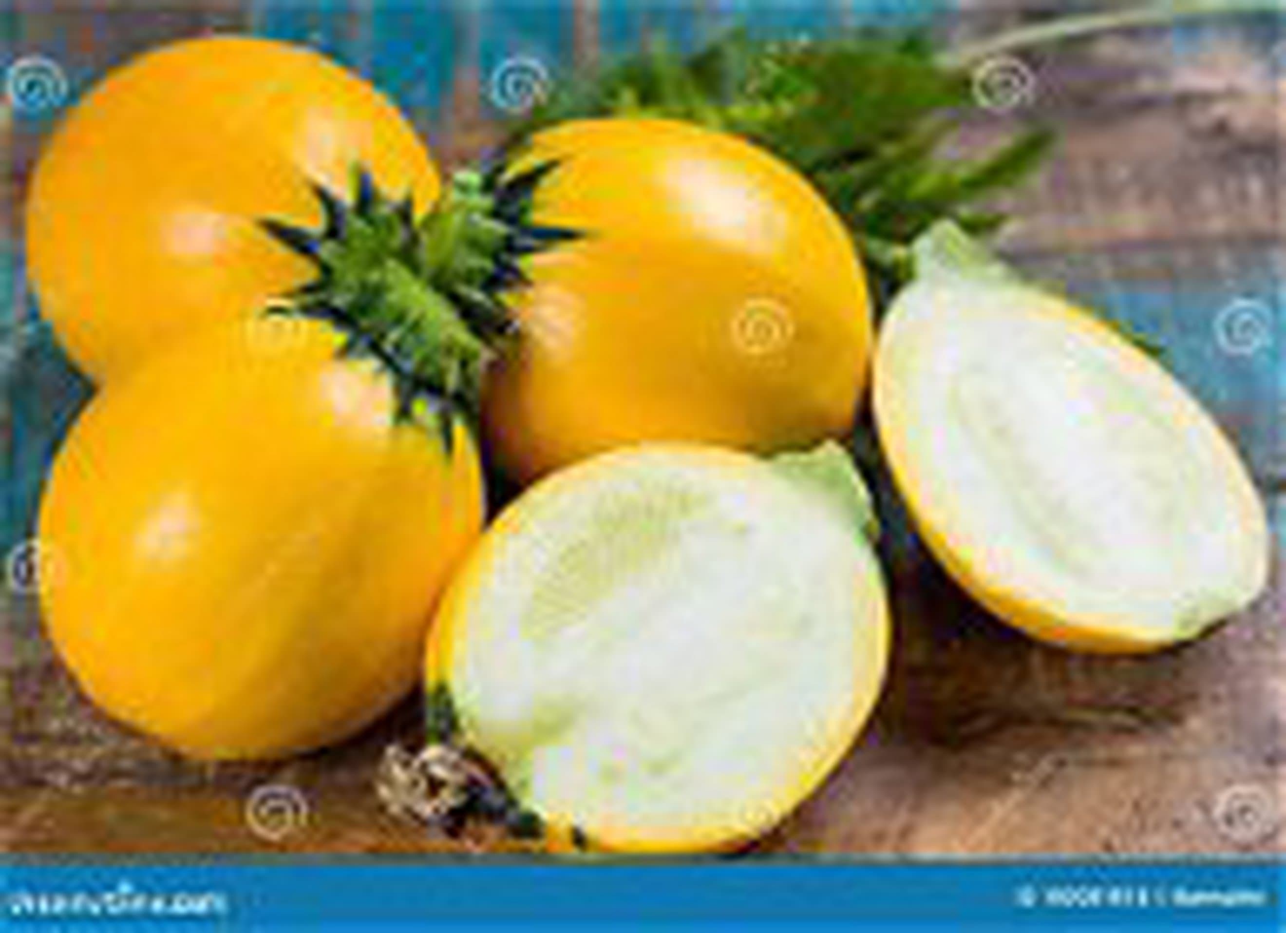 courgette round