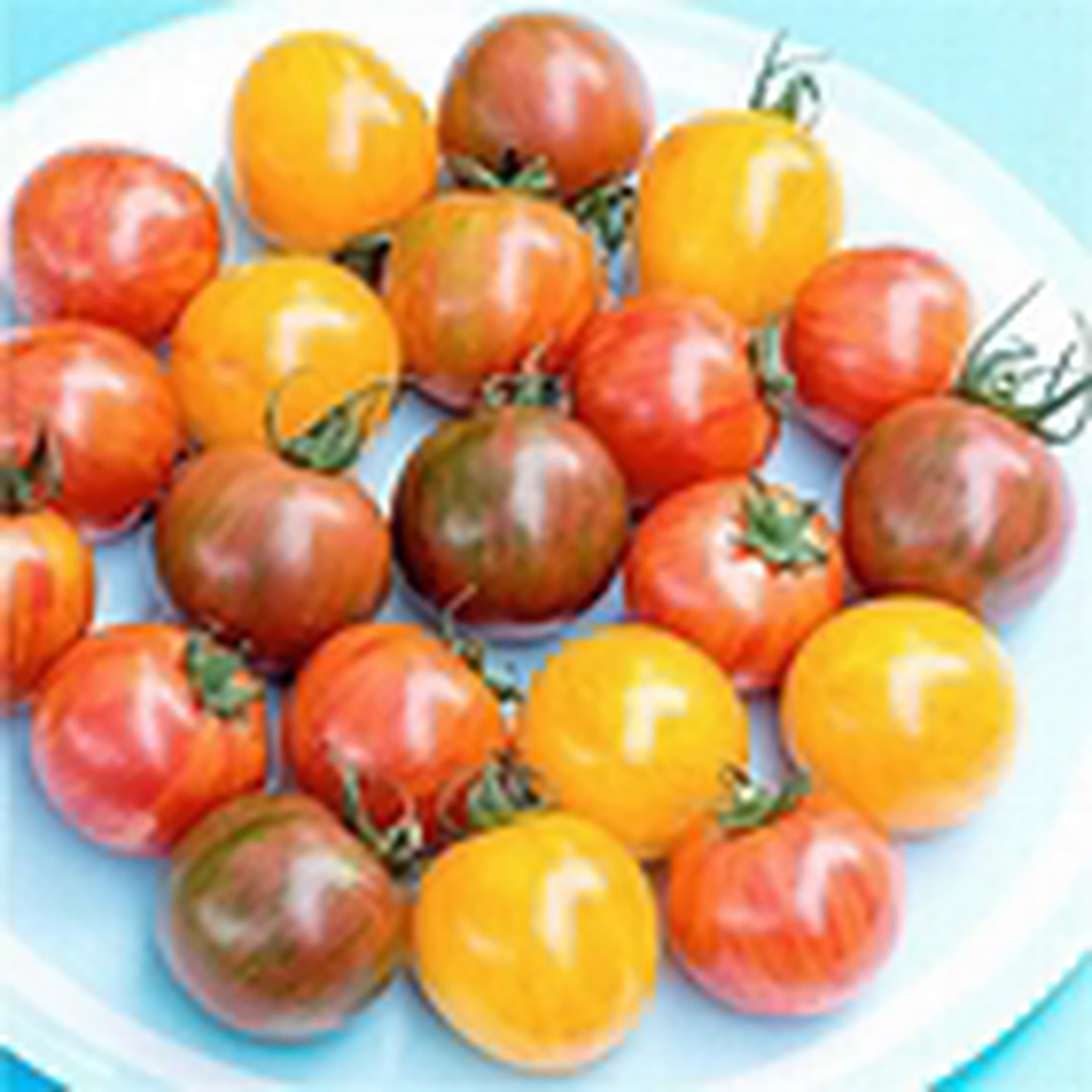Mixed cherry tomato