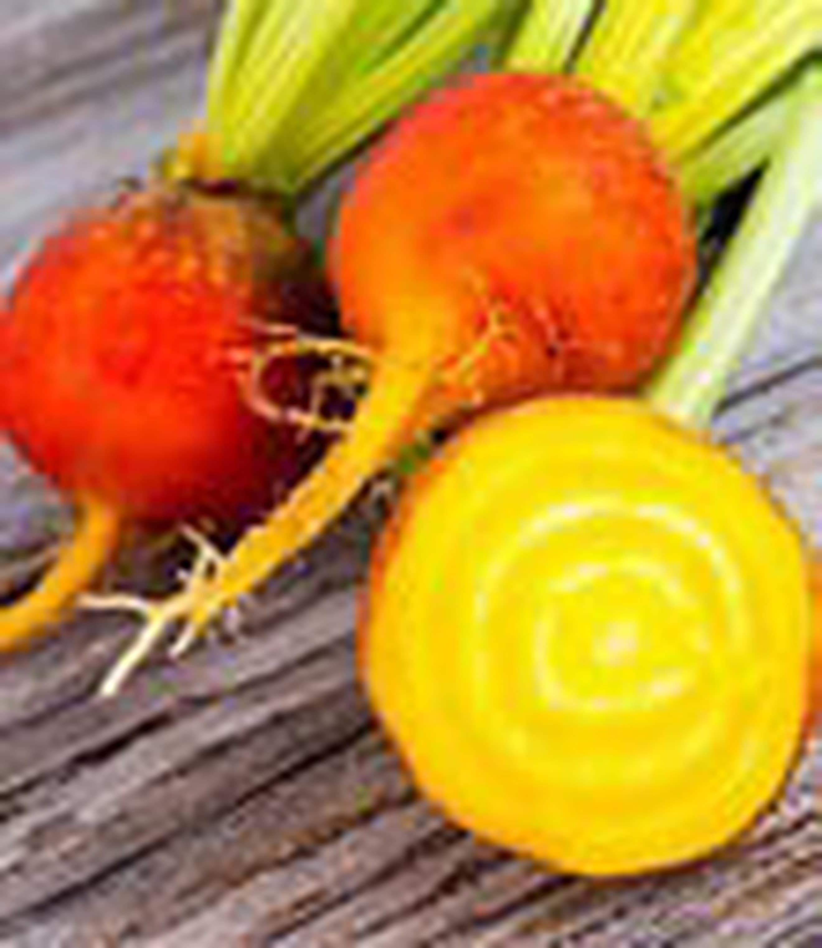 Beetroot Golden Globe