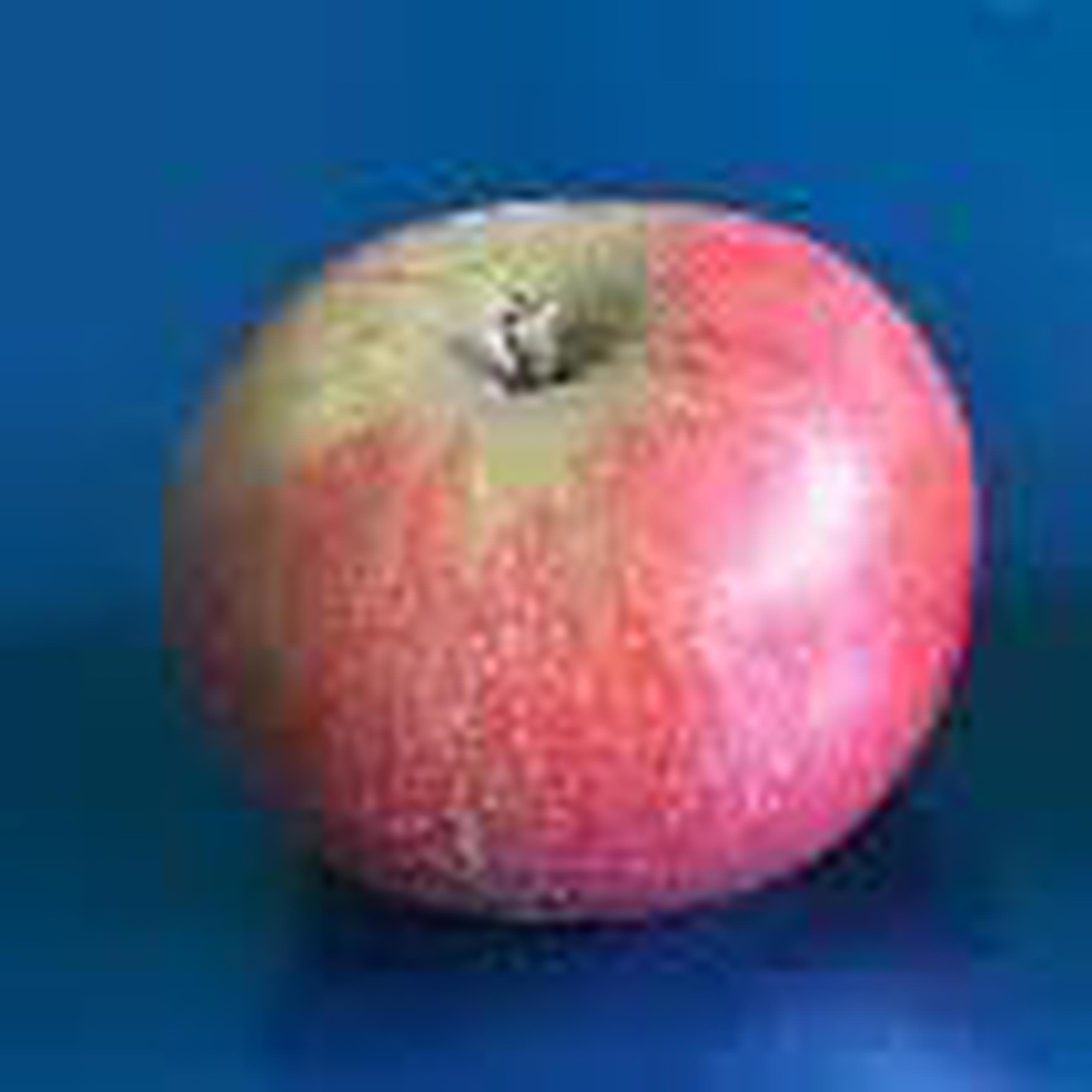 apple discovery