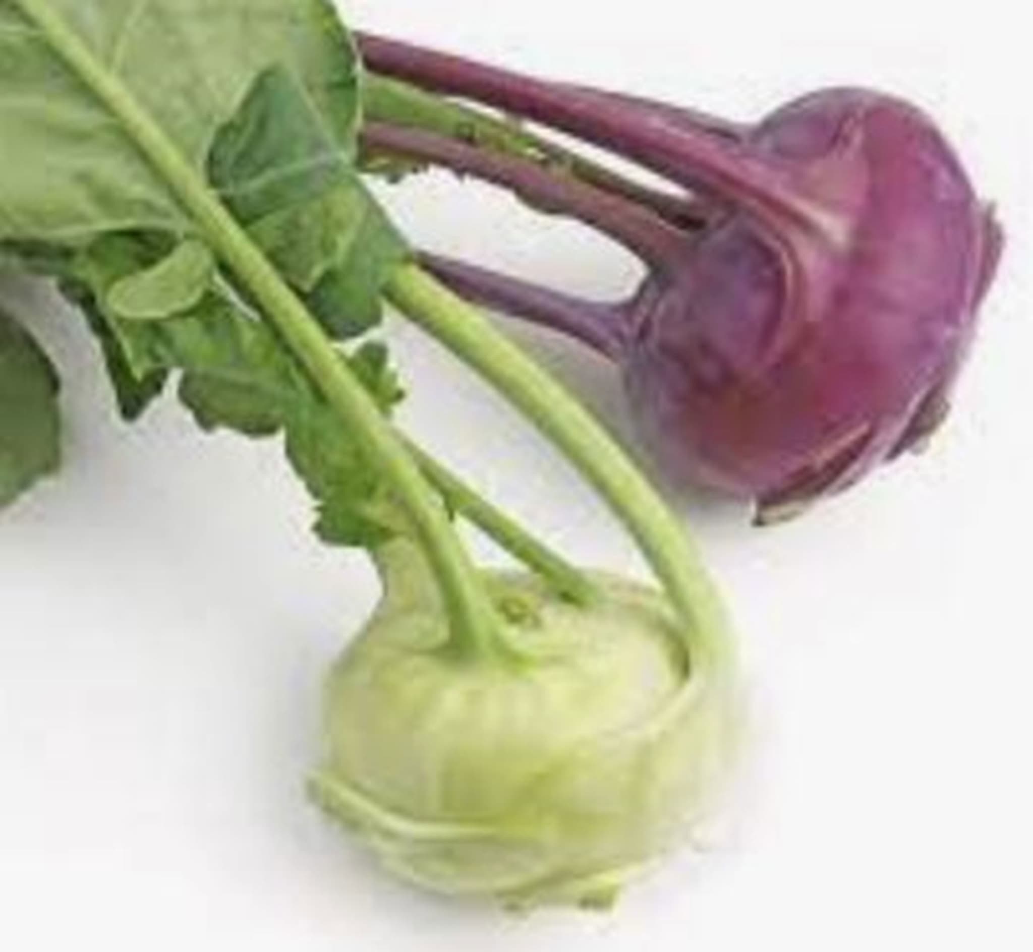 Kohl Rabi 🇬🇧