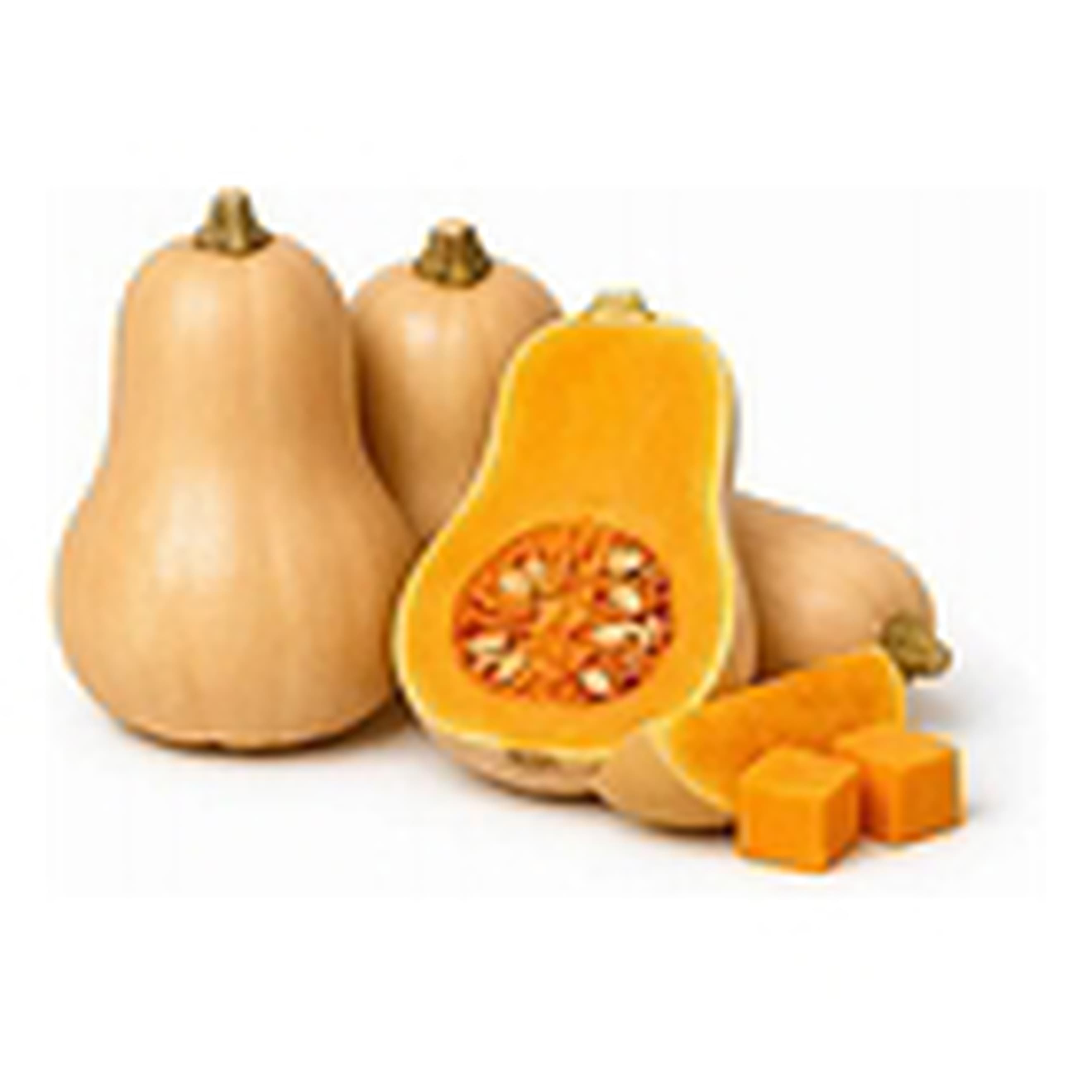 Squash, Butternut