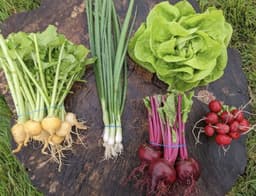 Image of Organic UK Produce Medium Box