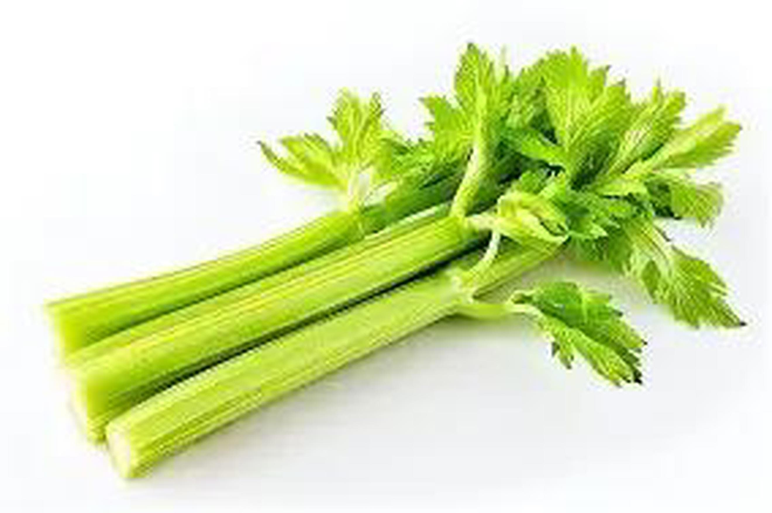 Celery ES