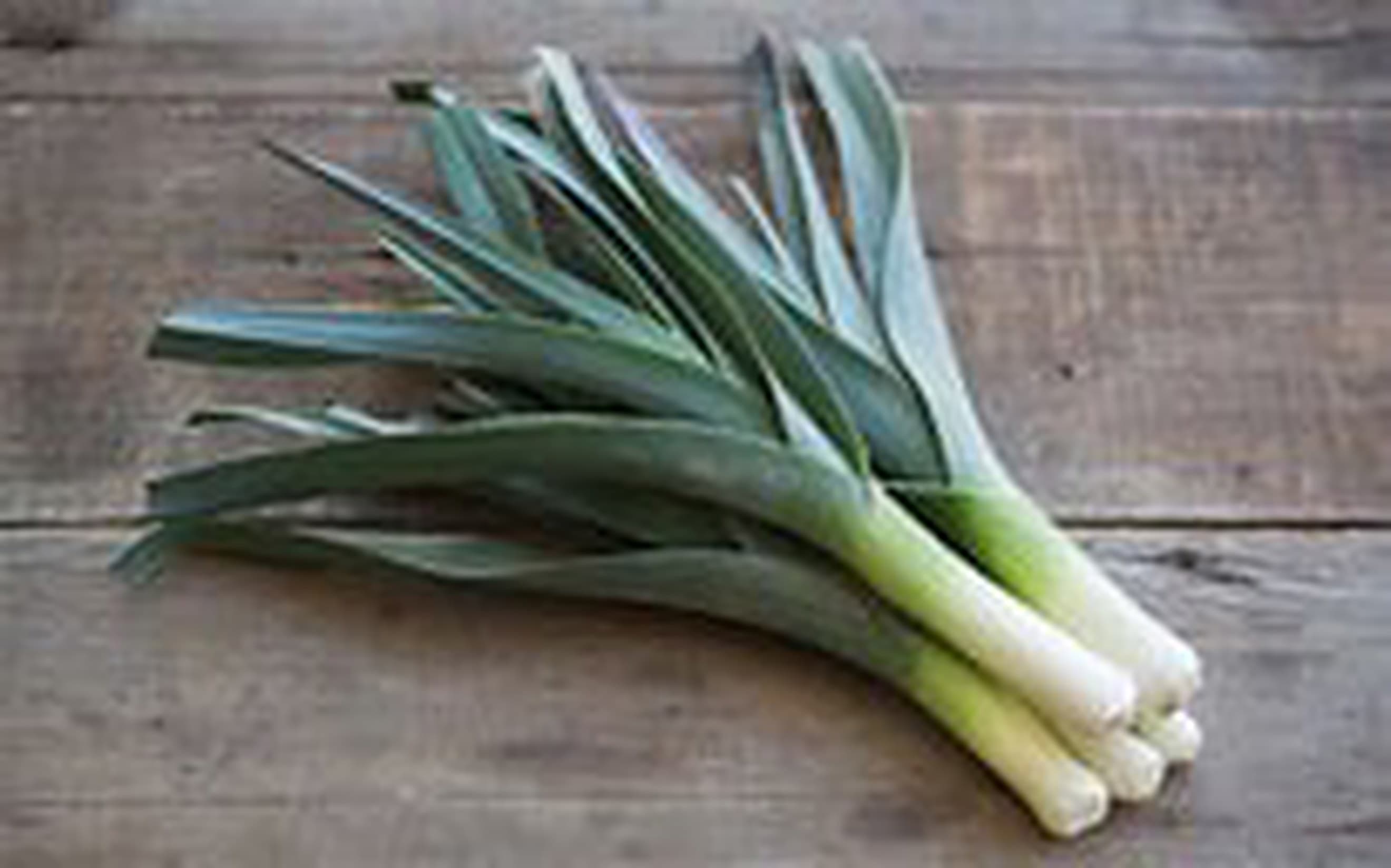 Baby leeks. Bunched