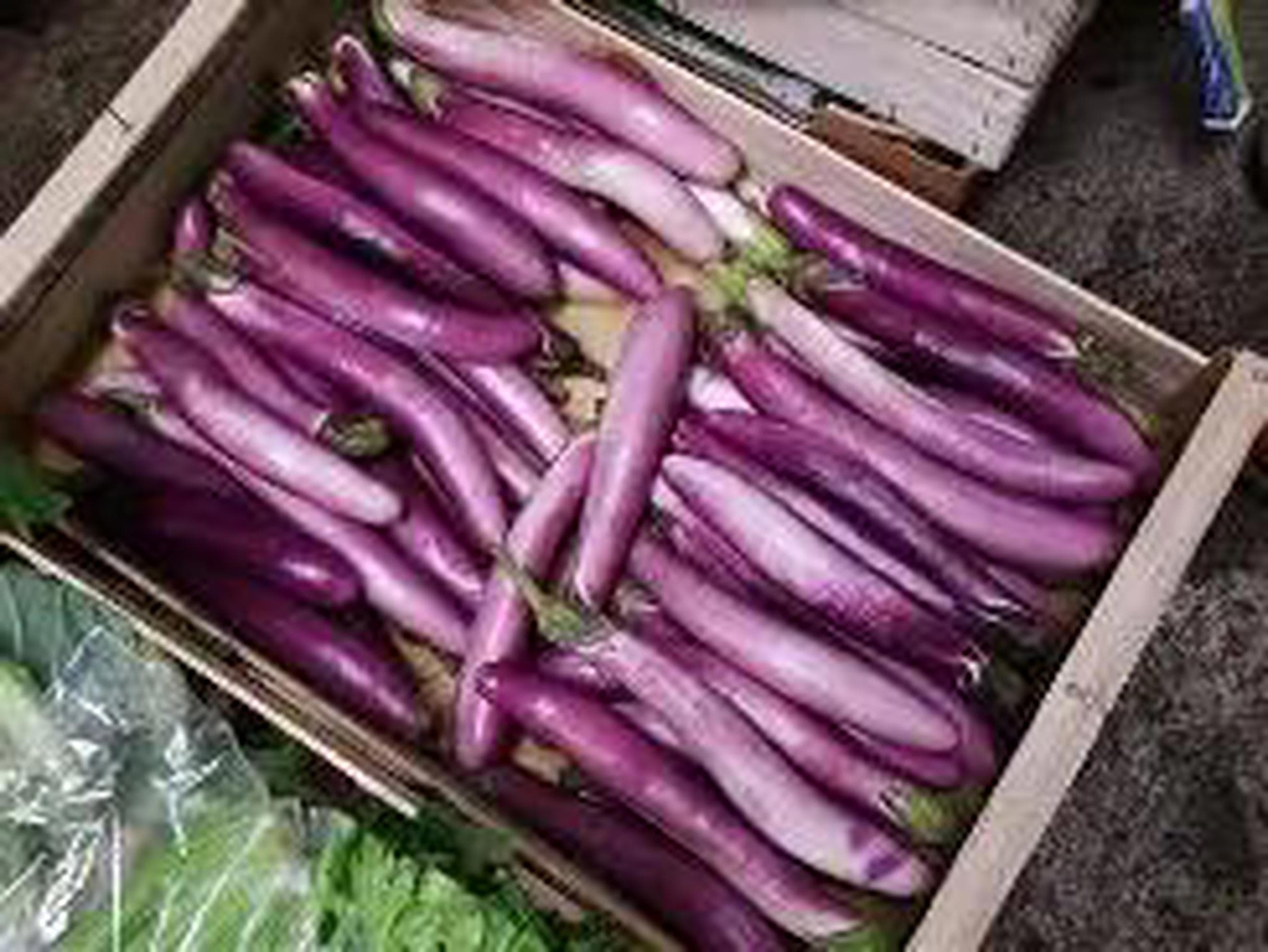aubergine long purple