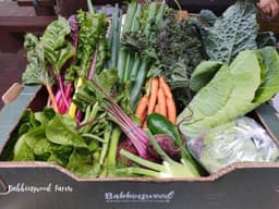 Image of Organic UK Produce Small Box