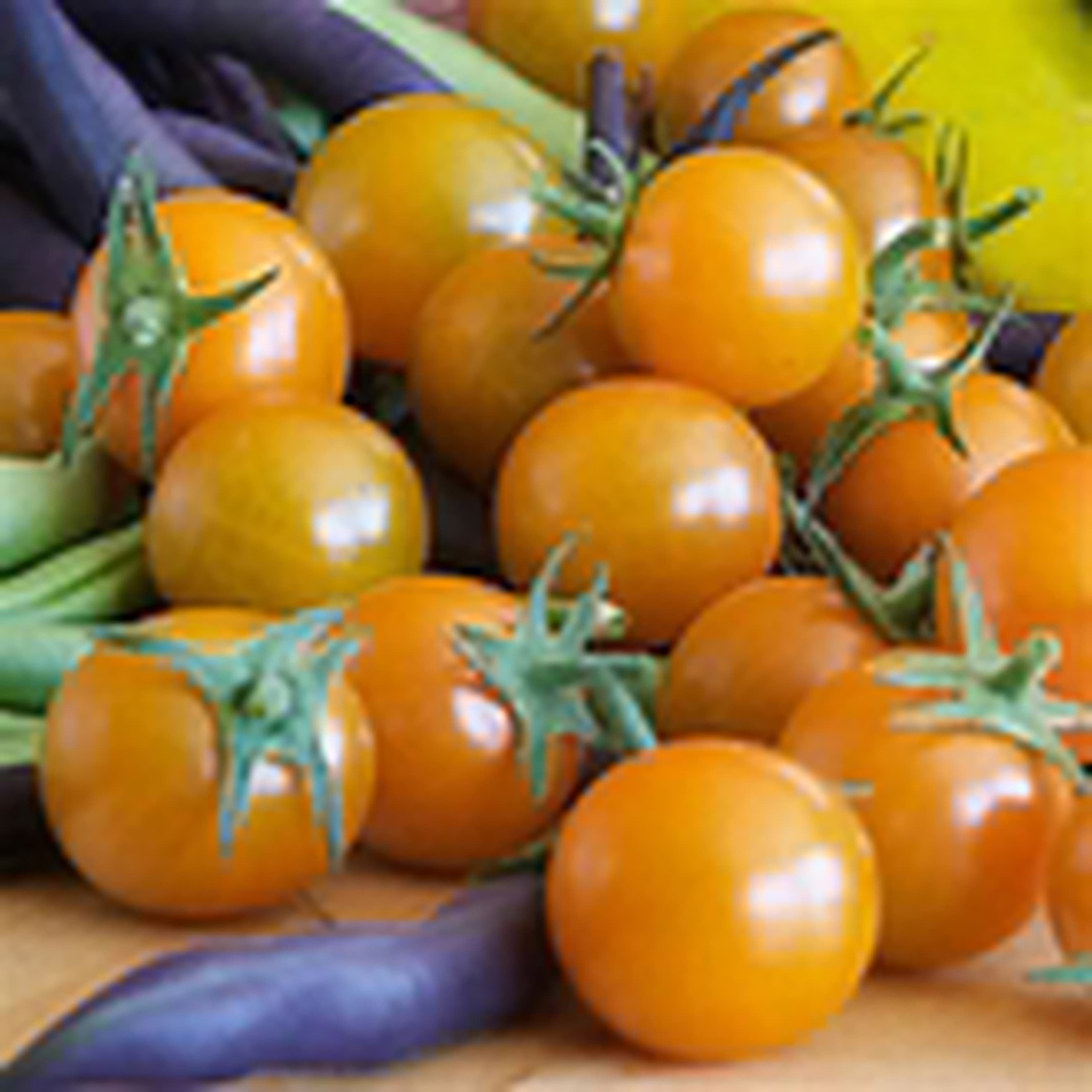 Tomato Cherry Sungold