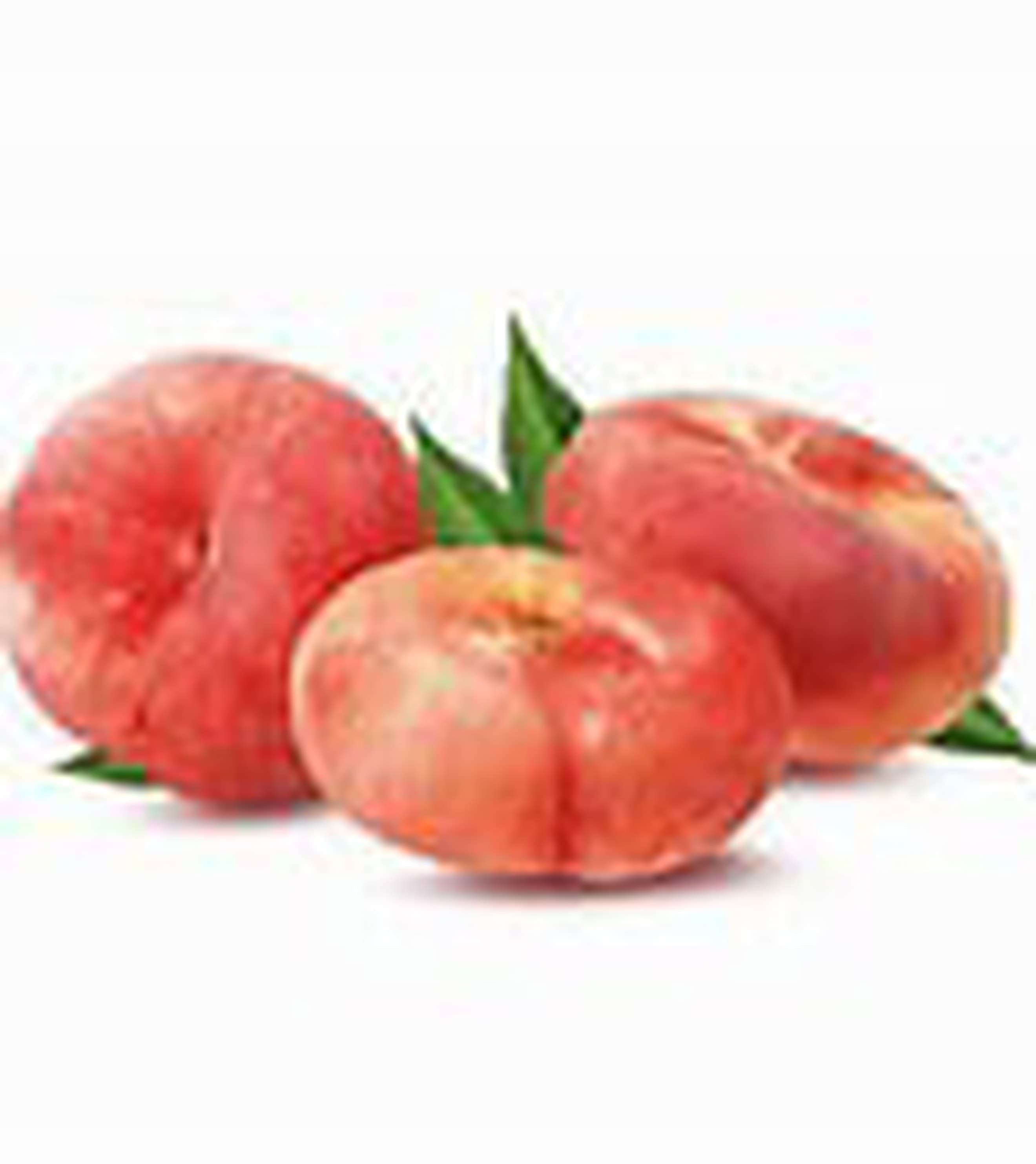 Nectarine Flat