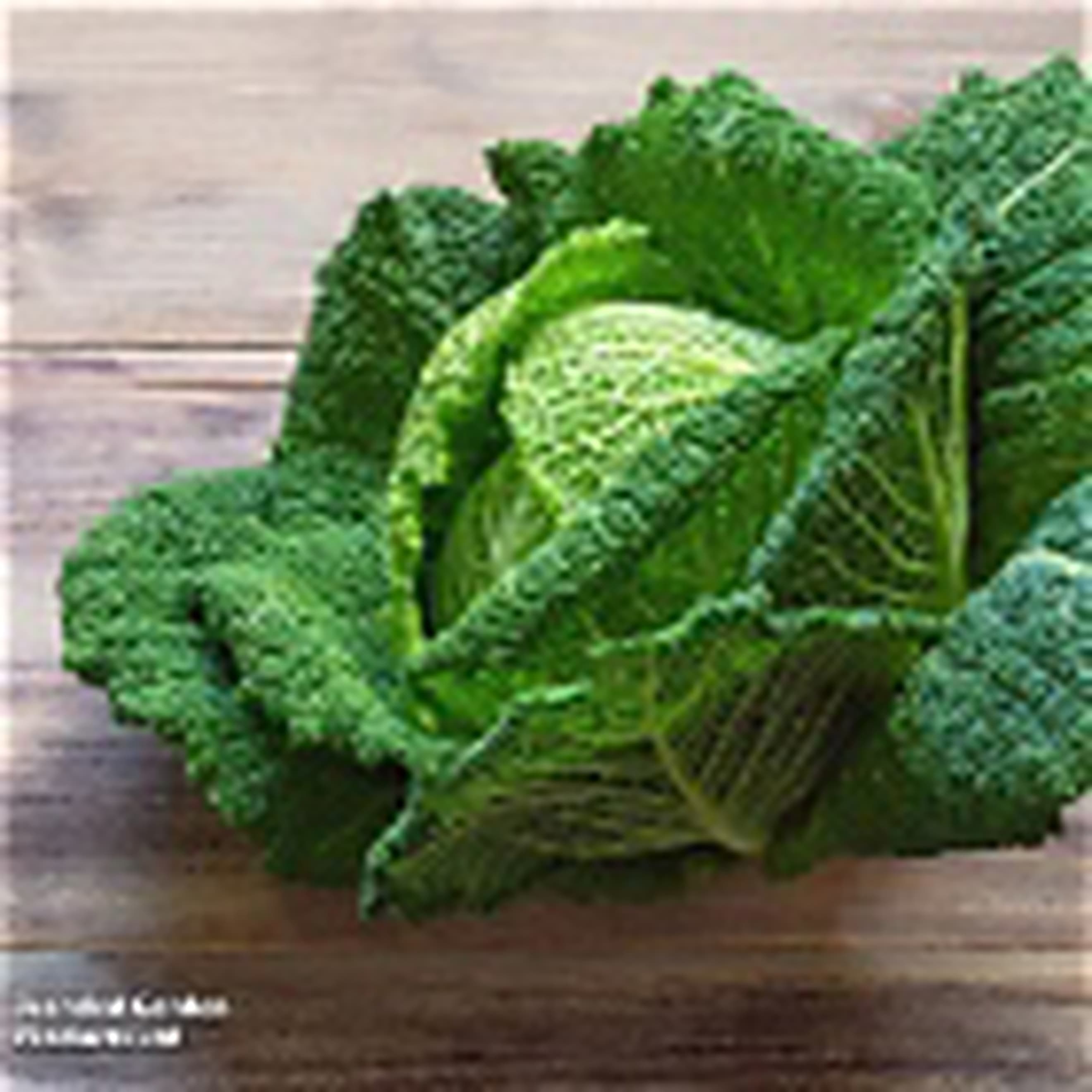 cabbage savoy