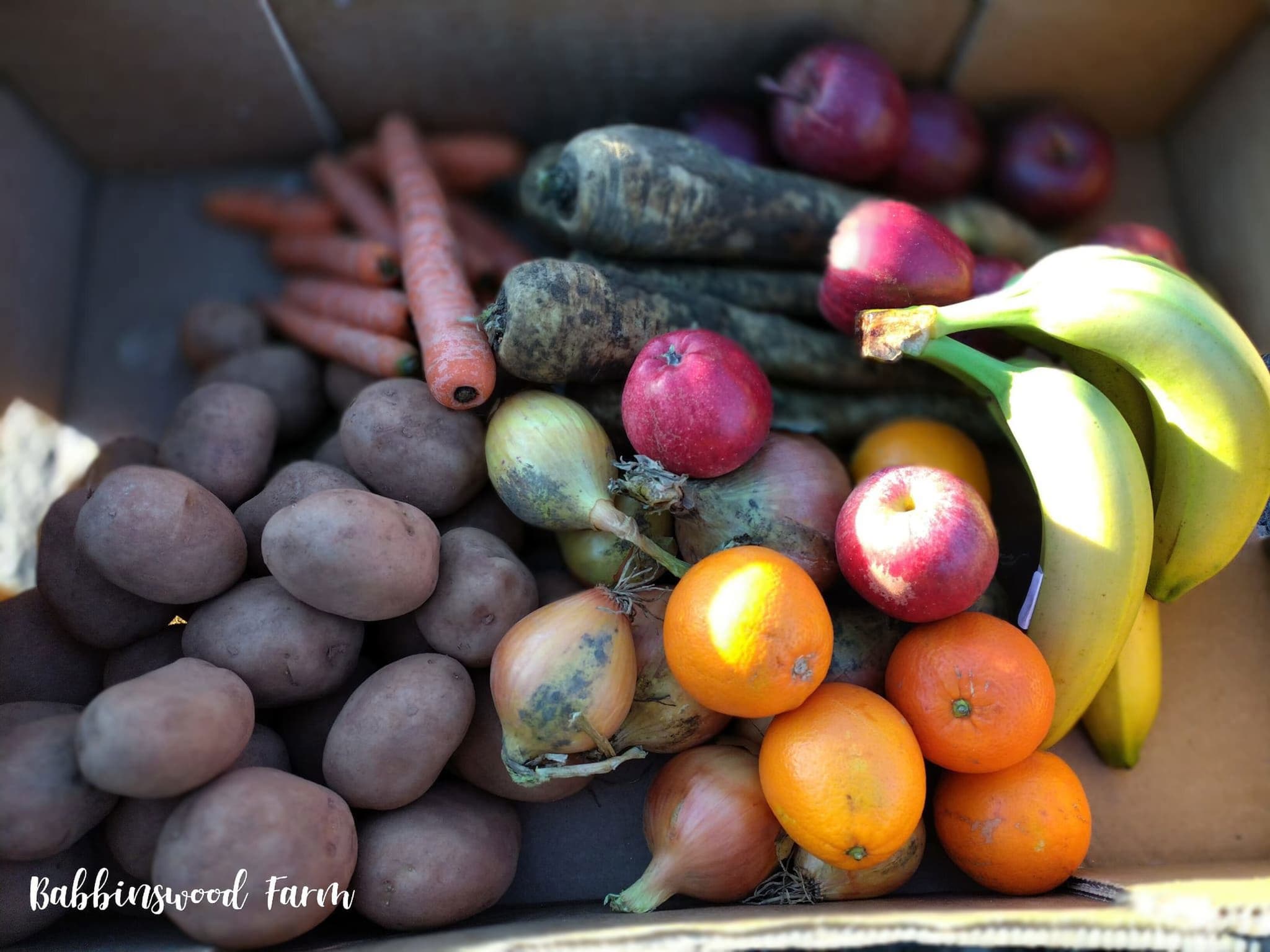 Organic Family Box