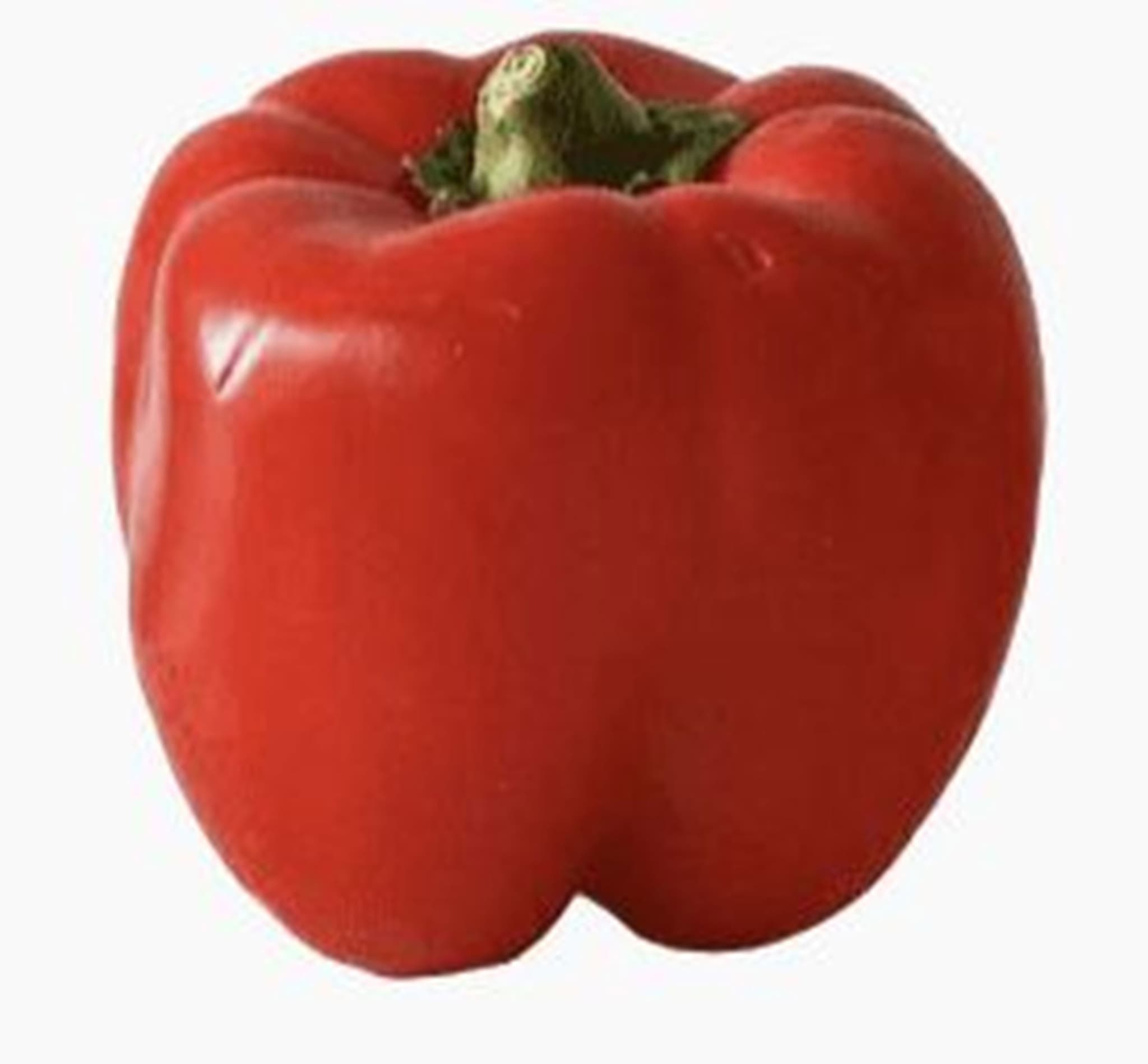 Red Pepper 🇪🇸