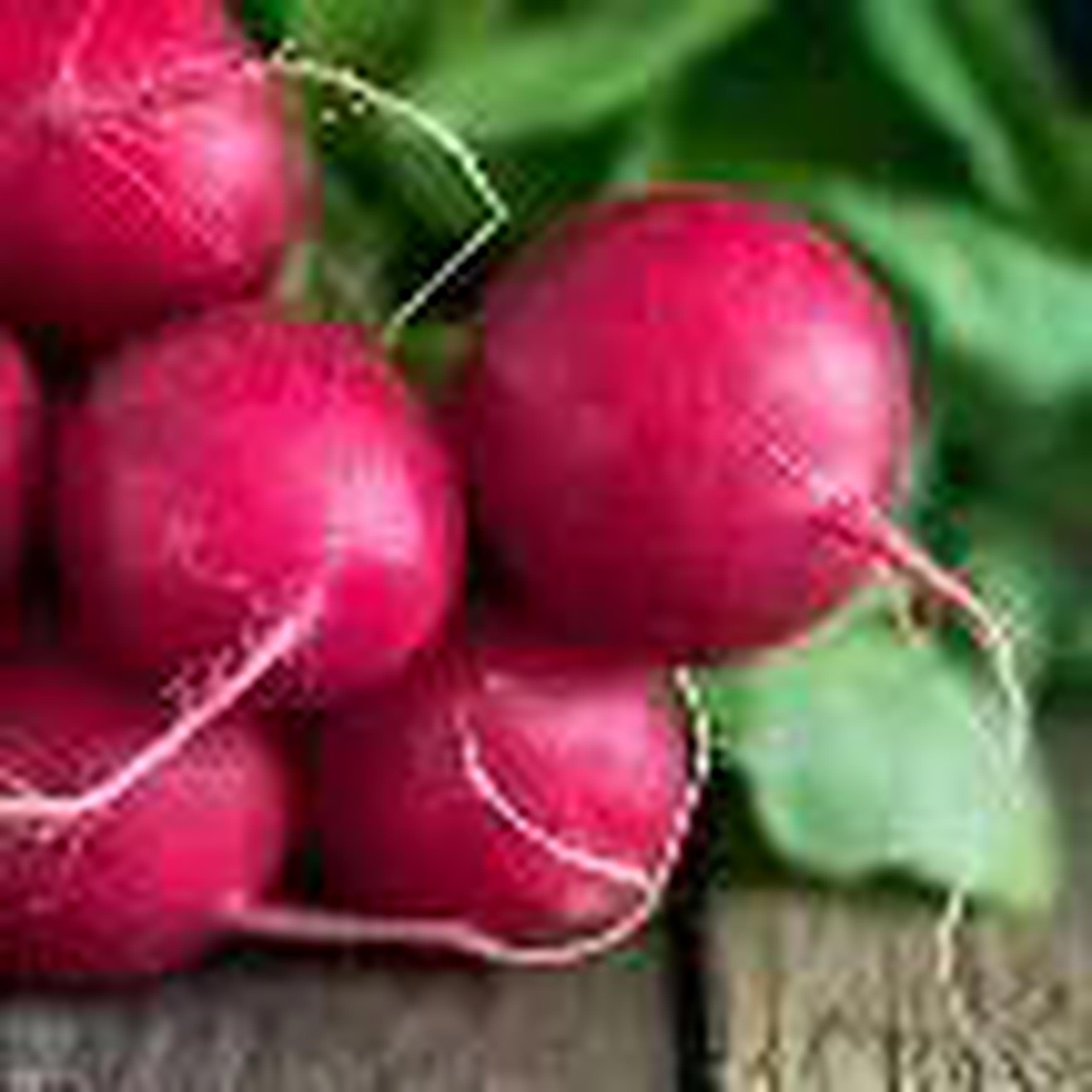 Radish bunch
