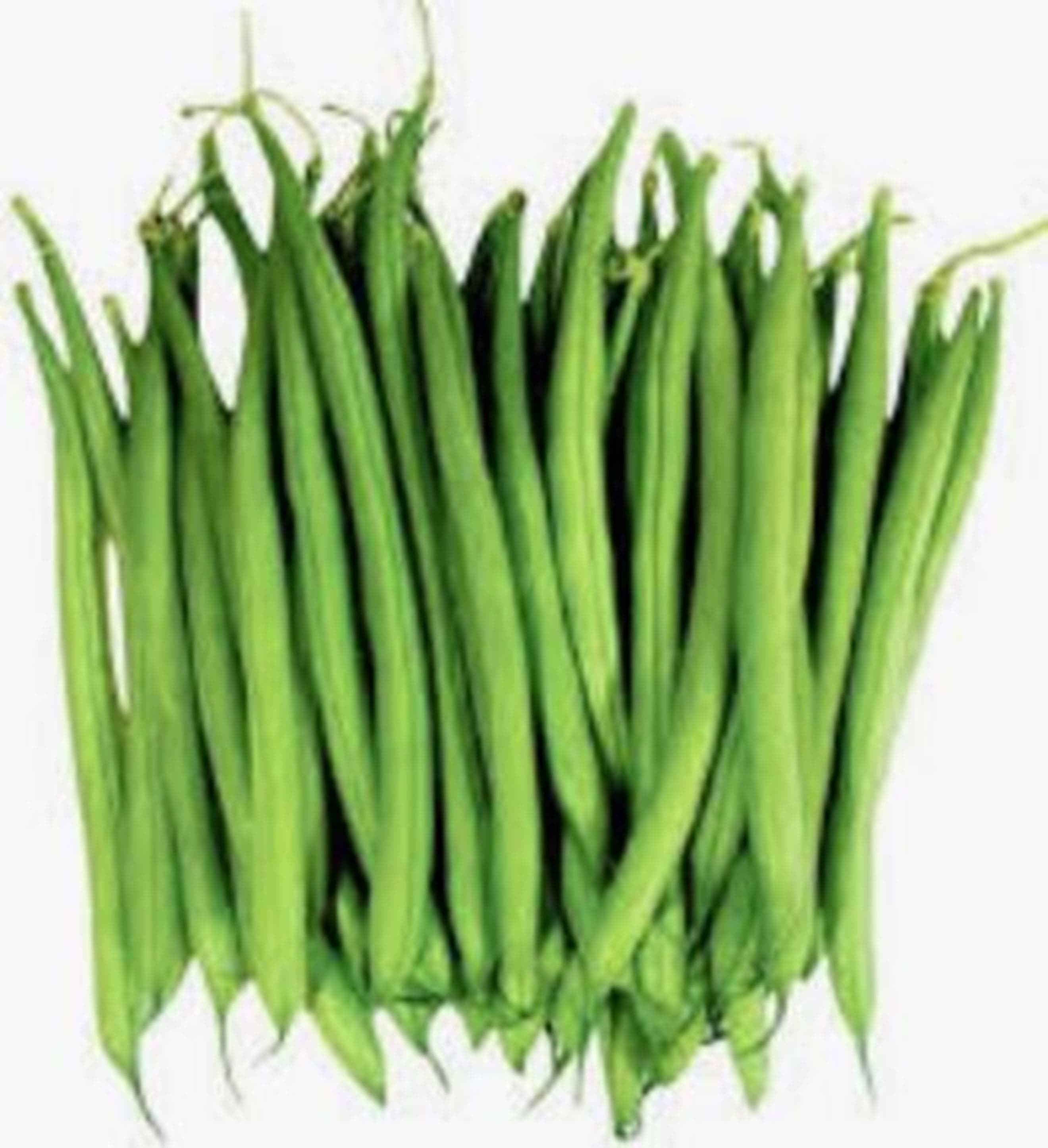 French Beans 🇬🇧
