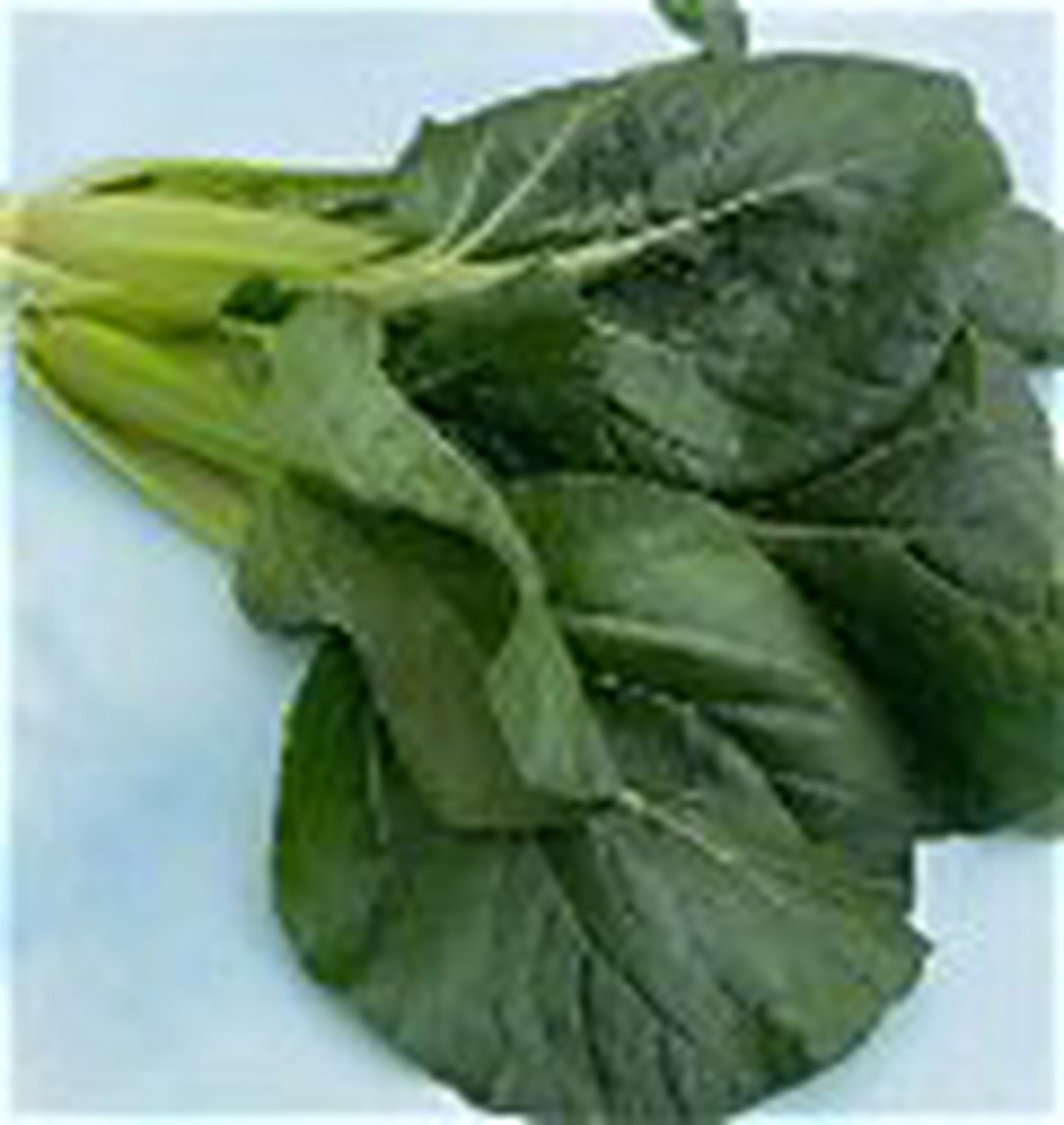 Tatsoi