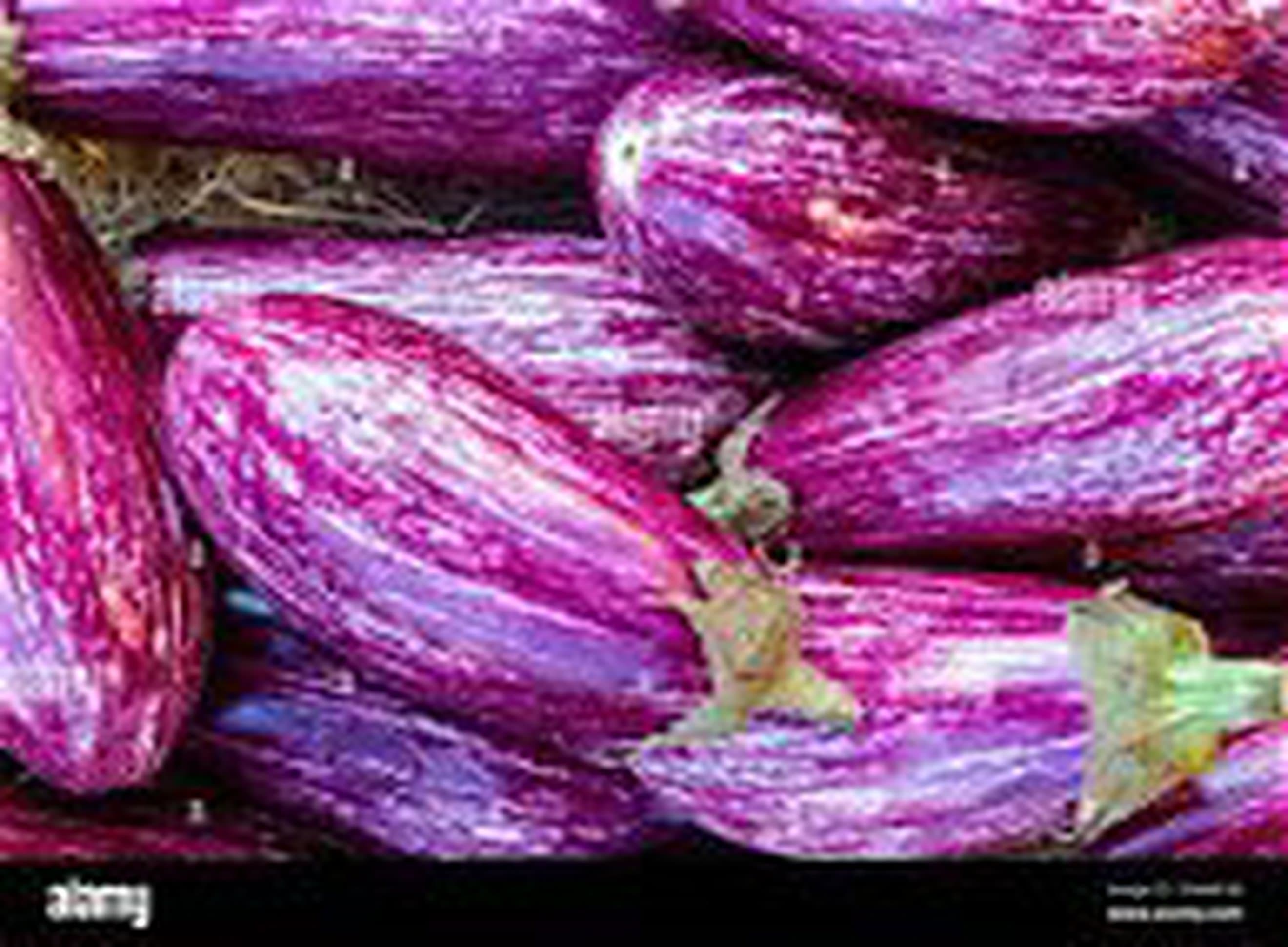 Aubergine Graffiti