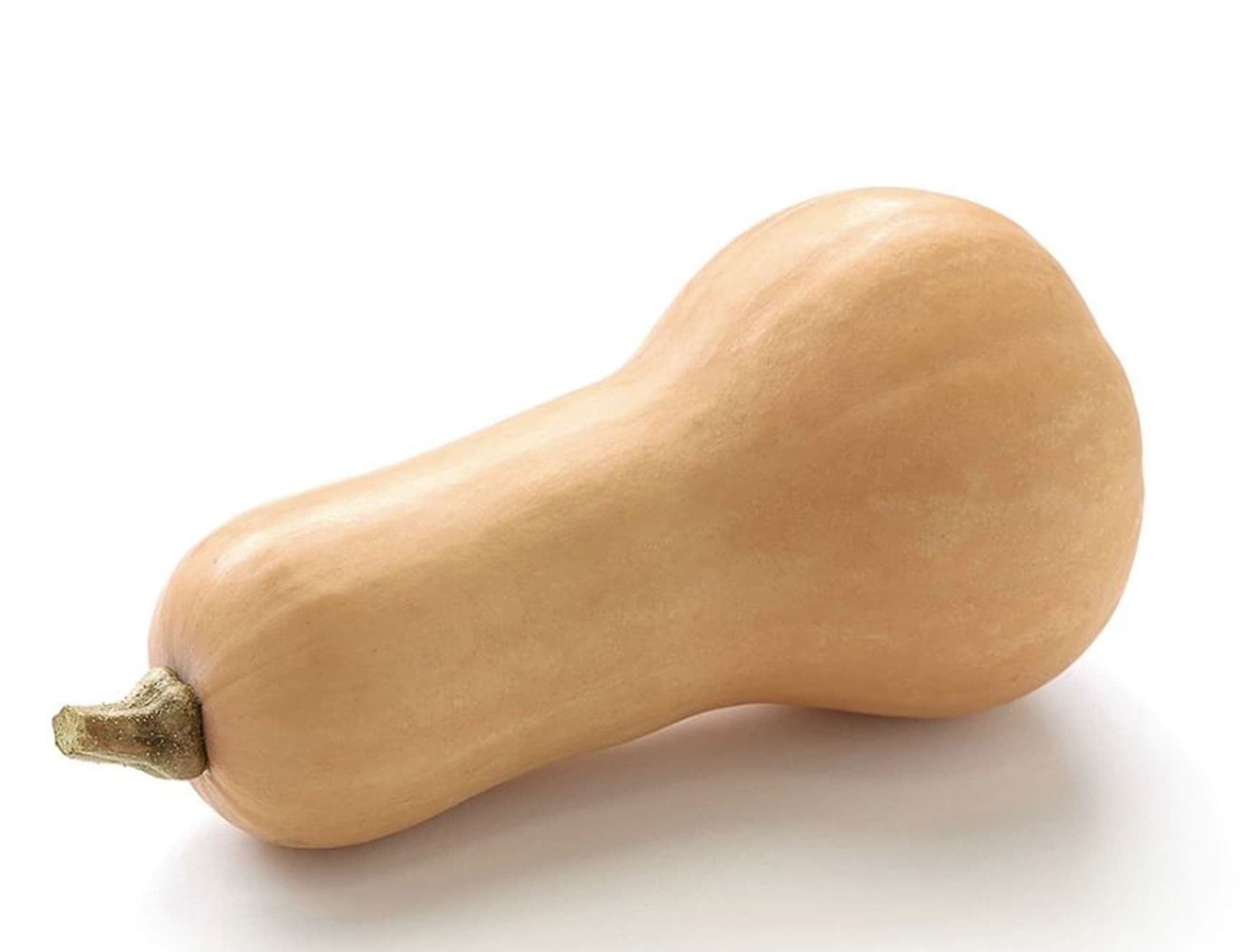 Butternut Squash (UK)