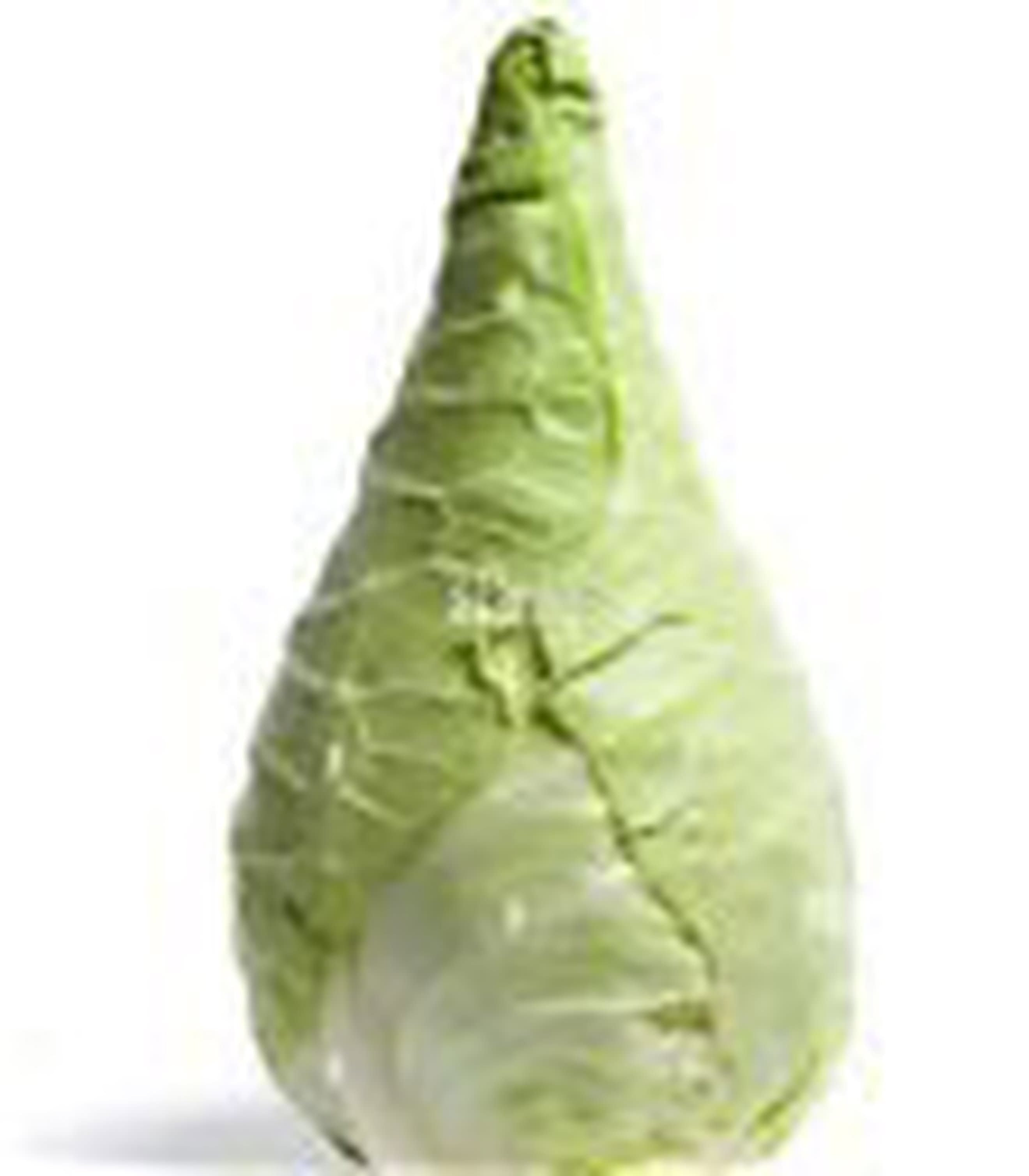 Cabbage Sweetheart Green