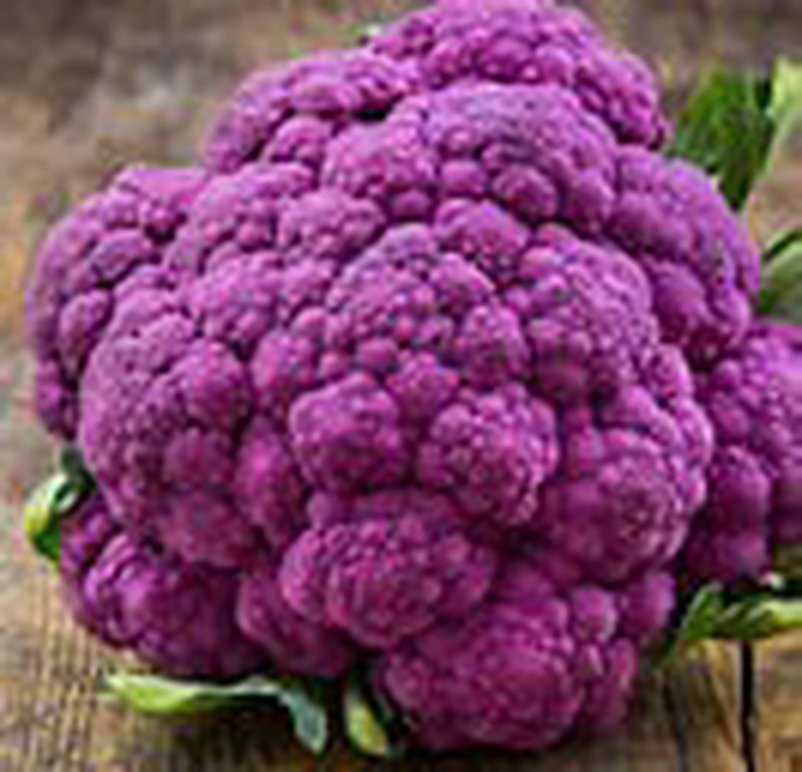 Cauliflower 🇬🇧 Purple