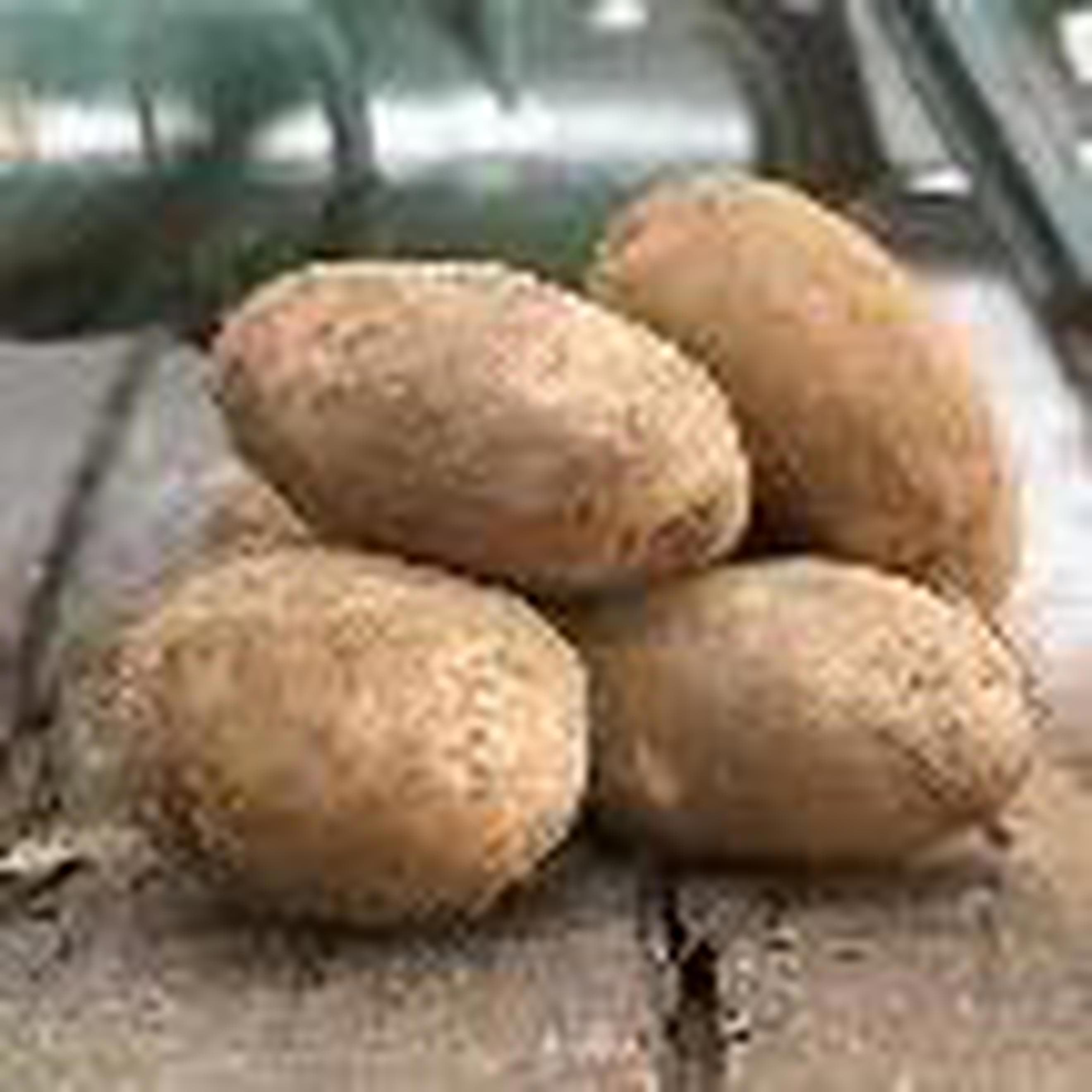 potato. Cara